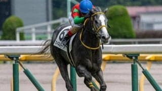 ゴールドシップ産駒の“十八番”福島芝1800m ラジオNIKKEI賞に連対率100％の血統馬が参戦