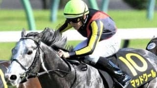 CBC賞は4歳馬が不振 今年は芝1200m5戦4勝の注目馬をはじめ豪華4頭が登録