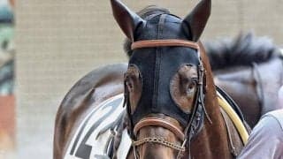 デビュー7年目富田暁騎手が重賞初制覇狙う ヨシノイースターでCBC賞に参戦