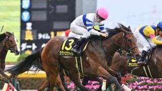 【ラジオNIKKEI賞枠順確定】レーベンスティールは7枠14番、バルサムノートは5枠10番