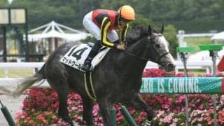 【CBC賞枠順確定】マッドクールは6枠8番、エイシンスポッターは3枠3番