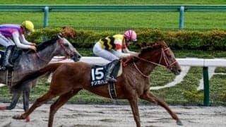 総額2億4000万円のアーモンドアイ初仔は歴代6位 募集総額トップ10を見てみよう