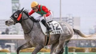 【開成山特別予想】単勝回収率183％・複勝回収率130％ 福島芝2600mは黙ってゴールドシップ産駒