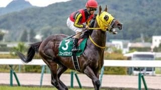 【七夕賞想定馬・騎手】フェーングロッテン、ヴァンケドミンゴなど22頭
