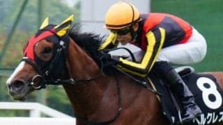 【白川郷S予想】中京芝1600mの舞台も良し 4馬身差圧勝の前走再現だ