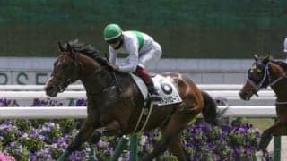 ラジオNIKKEI賞は直近15年で14勝の「サンデーサイレンス系」から２頭を厳選