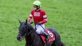 武豊騎手 今週の騎乗馬…巴賞ではドーブネとのコンビ