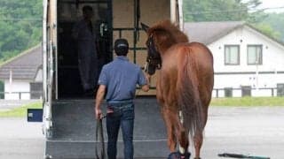 モーリスら3頭が出検疫施設に入厩 今年もシャトル種牡馬として供用へ