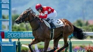 【函館5R新馬戦結果】ルージュレベッカが人気に応えて逃げ切りV