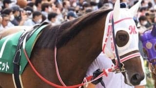 【ラジオNIKKEI賞予想】絶好内枠グラニット 果敢に逃げて粘り込む