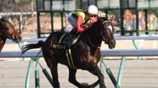 【CBC賞予想】高齢馬には鬼門のレース!? ベテランが結果を残せていない要因とは