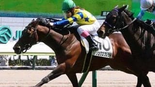 リュクスフレンドが熱射病で競走中止 1日の出来事一覧/函館・福島・中京