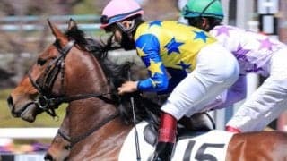 【日曜福島8R予想】キズナ産駒のバトルキャット 初ダートで決める