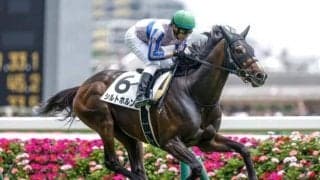 【AI予想・ラジオNIKKEI賞】週初から本命は一転も波乱含みの見解に変わりなし!? 人工知能が「◎」を打った伏兵とは