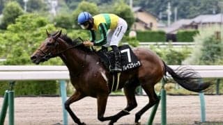 【松島特別】ソレイユヴィータが人気に応えて3連勝