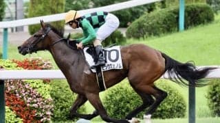 【新馬/福島6R】パイロ産駒 ピンクヴェノムが人気に応える