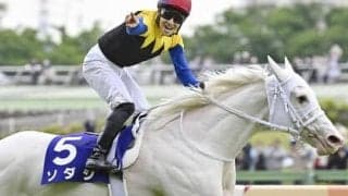 ソダシの弟、カルパがいよいよデビュー　白毛馬から新たな大物誕生なるか！　