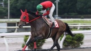 【高知・仁淀川特別】マイネルユキツバキが準重賞初制覇…永森「ヘルシャフトを見ながらの競馬」