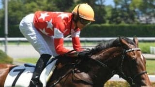 【中京5R新馬戦結果】伯父にアロゲートがいる良血馬 ルージュスタニングが好位から抜け出し快勝