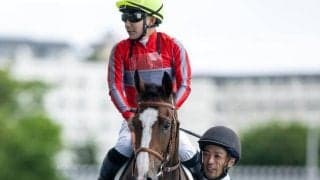 【函館5R新馬戦結果】ワンブランチが外から差し切りV