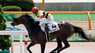 函館9Rでフローラルビアンカが除外 2日の出来事/函館・福島・中京