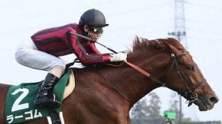 ラーゴムが競走馬登録抹消