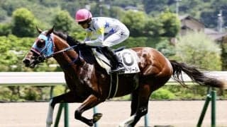 【新馬/福島6R】断然人気ビッグドリームが6馬身差圧勝