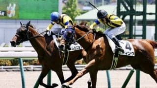 【新馬/福島5R】リアルインパクト産駒 トレミニョンが激戦を制する