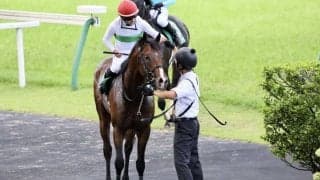 WIN5は307万円超の払戻し…ラジオNIKKEI賞はエルトンバローズがV