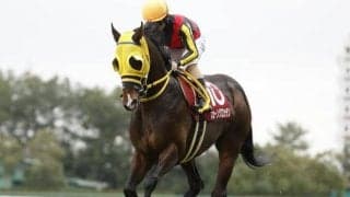 荒れるハンデ戦・七夕賞、ダート重賞のプロキオンS/今週の競馬界の見どころ