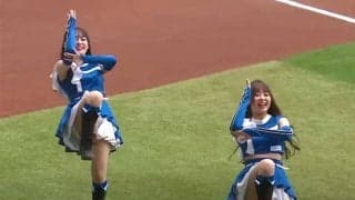 ハムチアが新たな“魅惑ダンス”「マジで可愛いなこれ」　期間限定で復刻「好きだった」