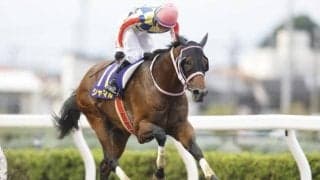 【プロキオンS見どころ】前走競走中止のシャマルが仕切り直し