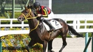 【七夕賞見どころ】フェーングロッテンが重賞2勝目を狙う