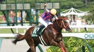 【CBC賞】売上は48億8209万5600円で昨年より約3億円減少