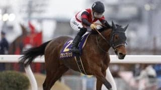 【スパーキングレディーC枠順】重賞4勝馬グランブリッジは1枠1番、南関東の女王スピーディキックは8枠9番