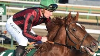 【先週のJRA抹消馬】芝ダート双方で活躍したラーゴム、21年の平安Sで2着に入ったアメリカンシードなどが抹消