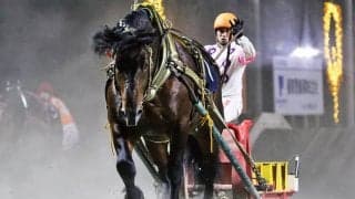 【ばんえい・柏林賞】3歳王者キングフェスタがV…鈴木恵「手応えあまり良くなかった」