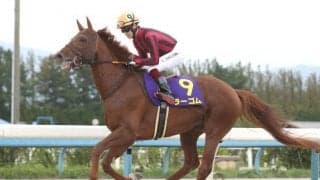 芝ダート双方で活躍したラーゴムが登録抹消 今後は乗馬に