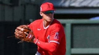 【MLB】“野戦病院”だったエ軍で奮起できずFAに　打撃不振の32歳…元球宴野手が新天地へ