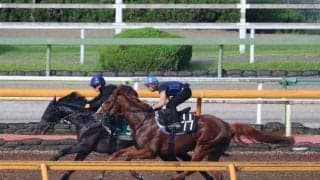 セレクト2億円超えの良血馬 ラケダイモーンが初陣/関西馬メイクデビュー情報