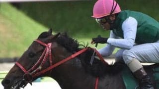七夕賞史上2頭目の偉業へ エヒトが4カ月半ぶり実戦