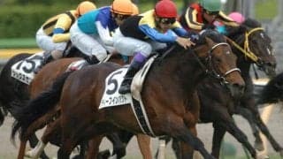 すごいぞ “種牡馬ディープインパクト” これまで打ち立てた金字塔の数々とは？