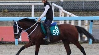 プレインズウーマンの2021(ホルトバージ)など、先週のゲート試験/栗東トレセンニュース