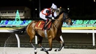 【スパーキングレディーC】グランブリッジは1枠1番、スピーディキックは8枠9番