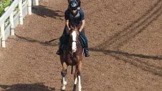 ジェンティルドンナの2021(エヴァンジェリーナ)など、先週の入厩情報/栗東トレセンニュース