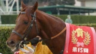 22年カペラS覇者が川田将雅騎手とタッグ プロキオンSで重賞2勝目へ