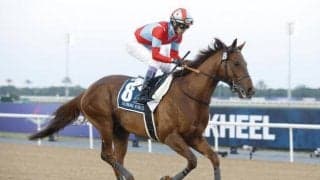 【プロキオンS予想オッズ】リメイクが予想1番人気