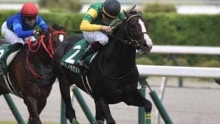七夕賞史上初の8歳馬Vへ “衰え知らず”のサンレイポケットが挑む