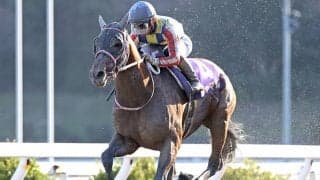 重賞19勝“地方マスター”の父超えへ DG競走4勝馬がプロキオンSでJRA重賞初V目指す