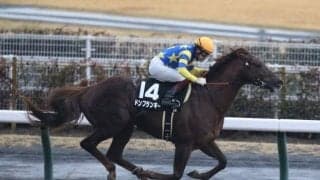【プロキオンS展望】4年ぶりの中京開催、先行した馬が勝ち切る傾向